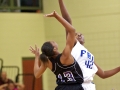 basketball-19046