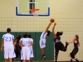 basketball-19223